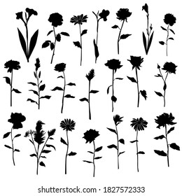 Set of silhouette flowers rose, chamomile, daisy, lily, spring-summer forest and garden field flower, black color isolated on a white background  