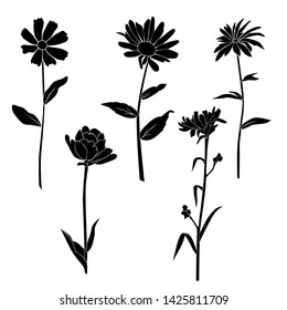 Set of silhouette flowers rose, daisy, chamomile,  spring and summer forest and garden field flower, black color isolated on white background