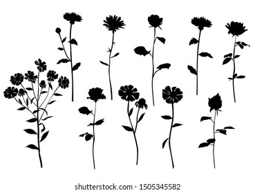 Set of silhouette flowers rose, daisy, chamomile, spring and summer forest and garden field flower, black color isolated on white background