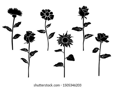 Set of silhouette flowers rose, daisy, chamomile, spring and summer forest and garden field flower, black color isolated on white background