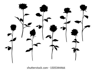 Set of silhouette flowers roses, spring and summer forest and garden field flower, black color isolated on white background