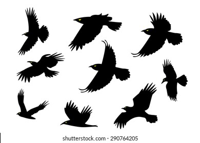 Set of silhouette flying raven bird with yellow eye and no leg. isolated on white background