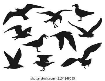 Set of silhouette of flying seagulls. Hand drawn illustration converted to vector.