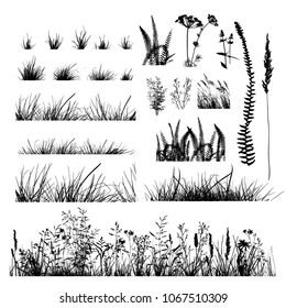 Set Silhouette of grass. Vector