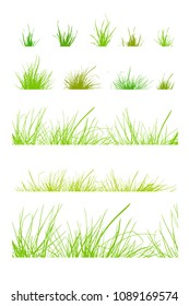 Set Silhouette of grass. Vector