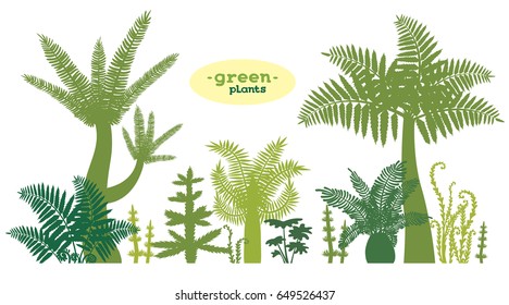 Set with silhouette of green plants on a white background. Vector illustration. 