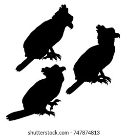 set silhouette harpy bird in profile. vector illustration