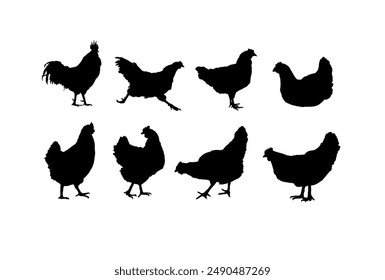 Set of silhouette of a hen