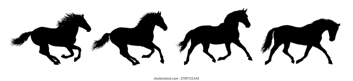 set silhouette of horse, side view - vector illustration