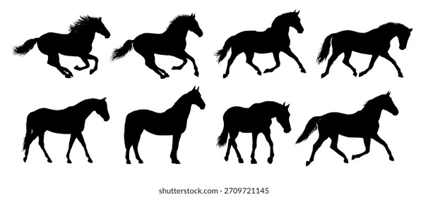 set silhouette of horse, side view - vector illustration