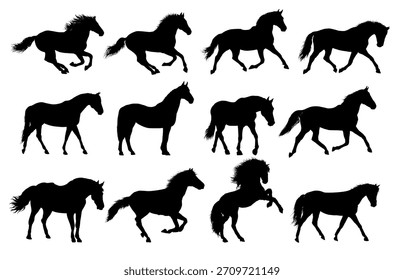 Conjunto de silueta de caballo, vista lateral - Ilustración vectorial
