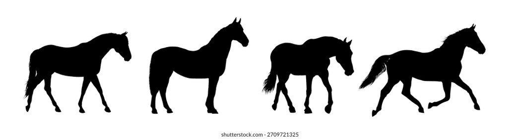 set silhouette of horse, side view - vector illustration