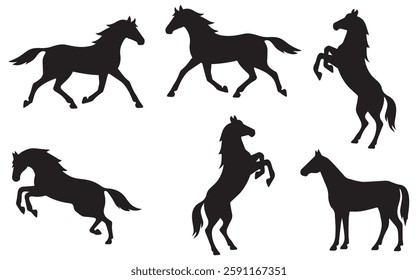 Set of silhouette of horses. Isolated black silhouette of galloping, jumping running, trotting, rearing horse on white background. Side view. vector eps file