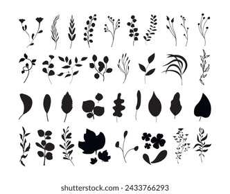 Set of silhouette icons of flowers, leaves and branches. Hand drawn, vector floral design elements, icons, shapes. Flowers, leaves, black and white outline illustrations isolated on white background.
