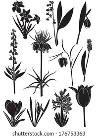 Set silhouette image of spring bulbous flowers