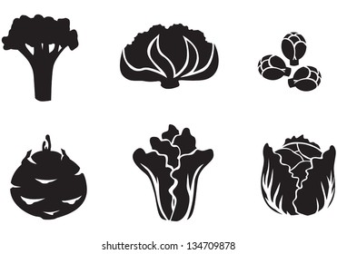 Set of silhouette images of different varieties of cabbage