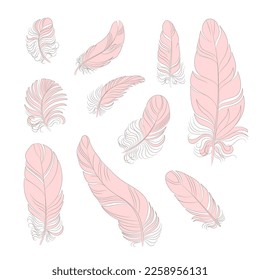 Set of silhouette isolated vector feathers