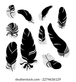 Juego de plumas vectoriales aisladas de silueta
