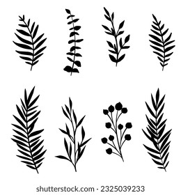 Set of silhouette leaf and stem. Vector leaves isolated on white background. Hand drawn decorative botanical elements.