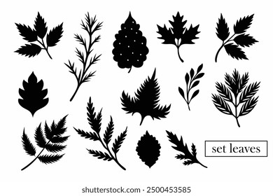 Set silhouette leaves, black white leaves for your design
