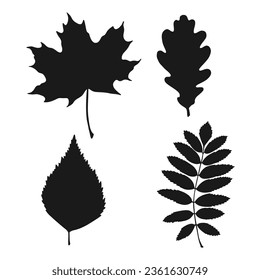 Set with silhouette leaves. Hand drawn autumn vector illustration.