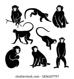 Set of silhouette monkey vector illustration design simple