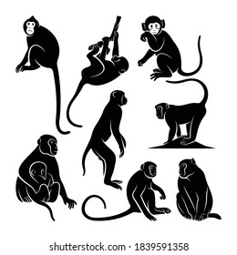 Set of silhouette monkey vector illustration, creative and modern design.