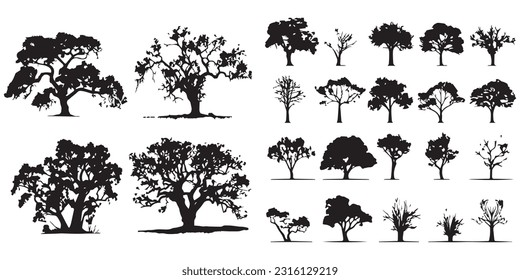  Un conjunto de ilustraciones vectoriales de roble de silueta