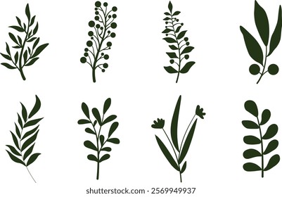 set of silhouette olive branch illustration