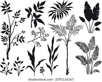 Set of silhouette palm trees and plants on white background