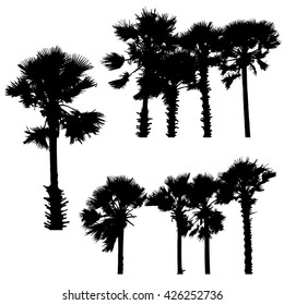 Set of silhouette palm trees ,vector