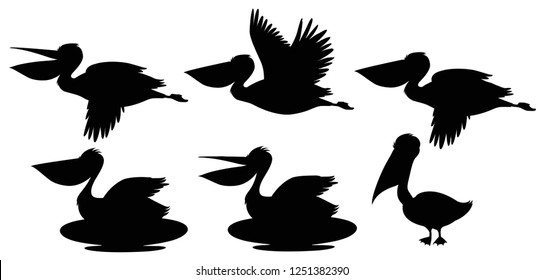 Set of silhouette pelican illustration