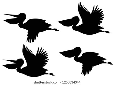 A set of silhouette pelican illustration