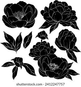 Set of silhouette of peony flowers. Vector illustration.