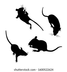 Set Silhouette Pet Decorative rat. Domestic rat.