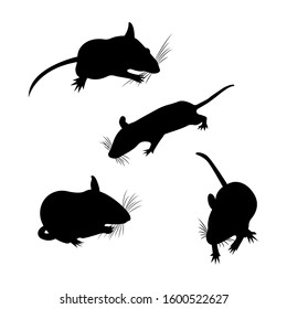 Set Silhouette Pet Decorative rat. Domestic rat.