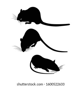 Mole Icons Silhouettes Set Illustrations Different Stock Vector ...