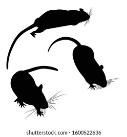 Set Silhouette Pet Decorative rat. Domestic rat.