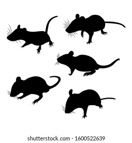 Set Silhouette Pet Decorative rat. Domestic rat.