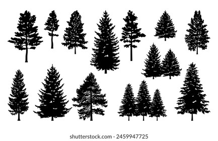 Set Silhouette of pine trees.