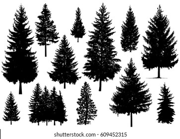 Set. Silhouette of pine trees.  