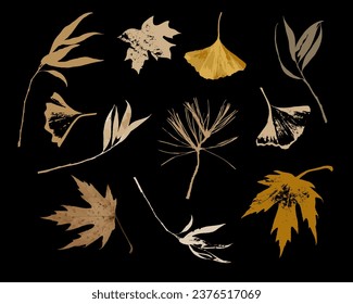 Set silhouette print of autumn leaves and branches. Vector illustration.