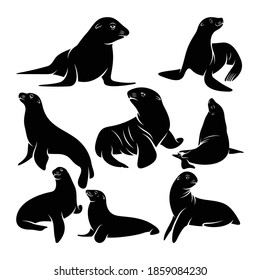 Set if silhouette sea lion vector illustration design, creative design.
