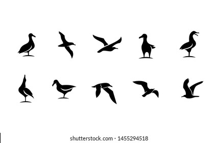 set of silhouette seagull bird ocean 
