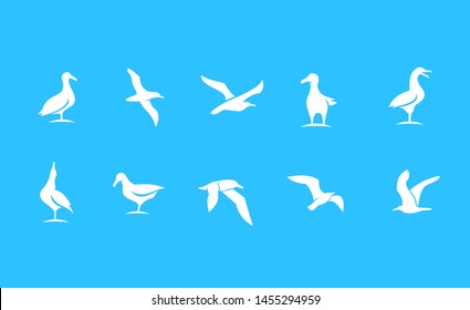 set of silhouette seagull bird ocean with white color and blue background