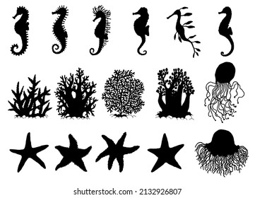 Set silhouette seahorses, starfishes and corals different forms. Vector icons wild ocean animals underwater life doodle isolated illustrations.