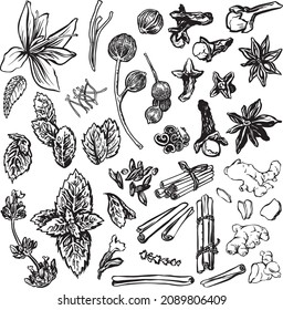 a set of silhouette spices for coffee and other drinks