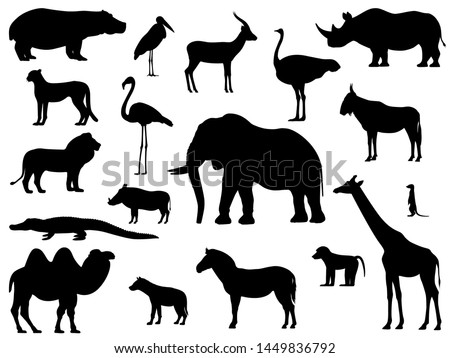 Set silhouette standing african animals. A collection of various animals of Africa. Vector illustration isolated on white, side view.