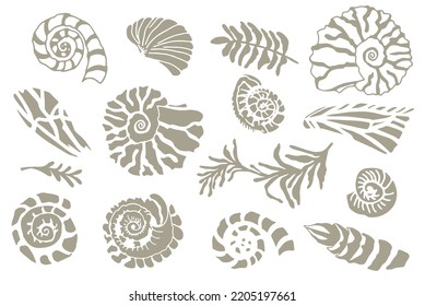 Set silhouette stencil seashells   plants Hand drawn ocean shell conch mollusk scallop Sea underwater animal fossil Nautical   aquarium  marine theme  Vector illustration 