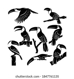 Set of silhouette toucan bird vector illustration design, creative design